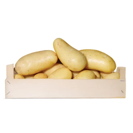 CELTIANE