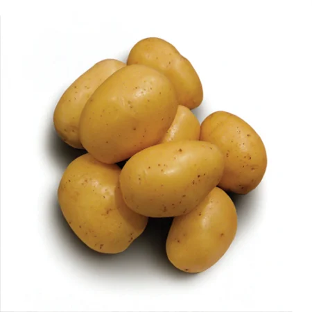 LUTINE