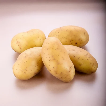 SPUNTA